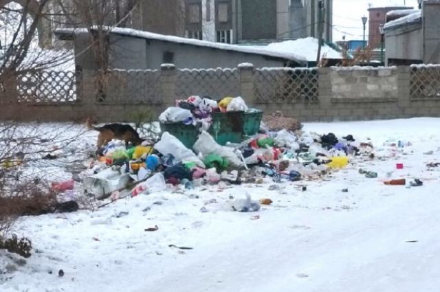 Остро стоящая в Оренбуржье проблема с мусором не дала ООО «Природа» попасть в двадцатку лучших региональных операторов страны.