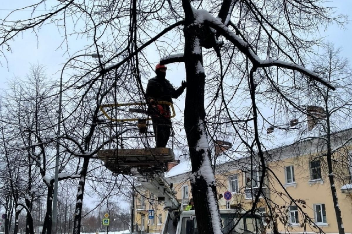 Сломанная ветка на снегу.