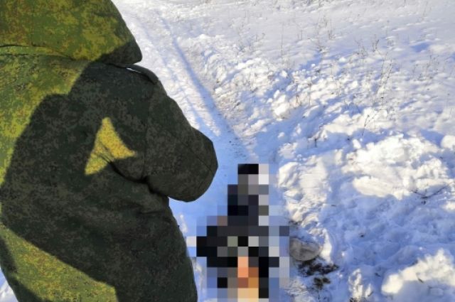 Жительница Балашова насмерть замерзла на тропинке