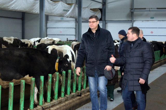 Александр Авдеев пообещал помочь сельхозпредприятиям Юрьев-Польского района