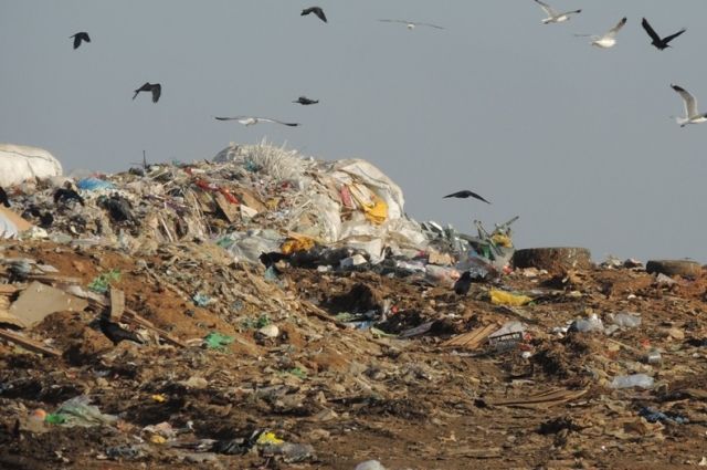 В пригороде Махачкалы горит мусорный полигон