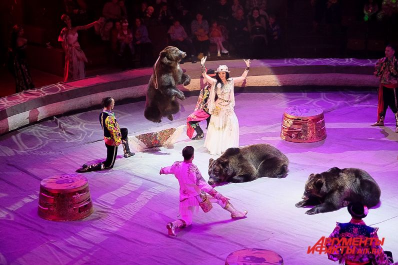 Новогоднее цирковое шоу Гии Эрадзе  «5 континентов» в Перми.