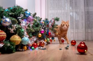 Следите за детьми и домашними животными – и те и другие могут случайно повредить кабель и вызвать замыкание.