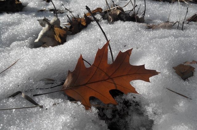 В предпоследний день декабря в Оренбуржье незначительно потеплеет