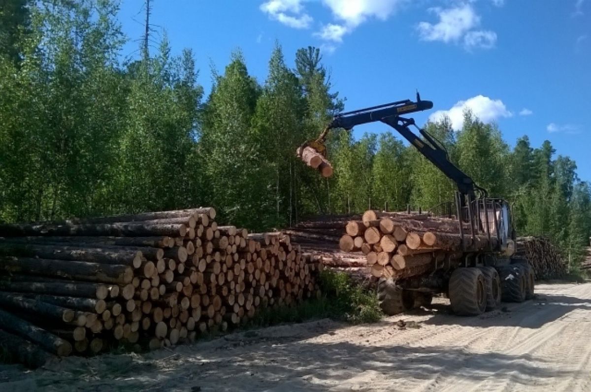 Лесозаготовка деревообработка. Лесная промышленность Сахалина. Лесопромышленный комплекс Западной Сибири. Лесозаготовки Сахалинская область. Лесная и деревообрабатывающая промышленность.