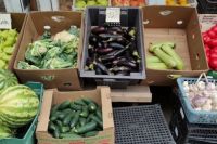 Сотрудники Россельхознадзора изъяли 980 килограмм овощей с высокой степенью фитосанитарного риска