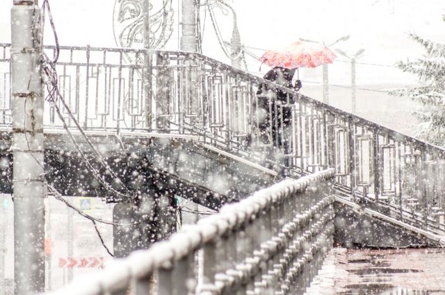 МЧС предупреждает жителей Брянской области о сильном ветре и мокром снеге