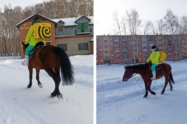Под Новосибирском заметили курьера «Яндекса» верхом на лошади