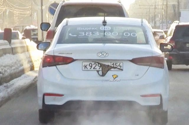 Водитель «Яндекс.Такси» прикрыл номера женскими трусиками в Новосибирске