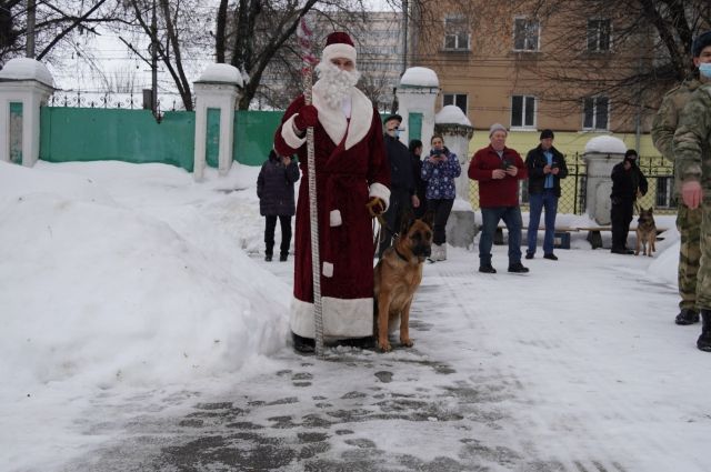 Собаки саратовской Росгвардии порадовали юных пациентов больницы