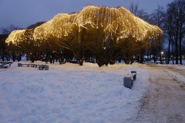 Новогодние украшения в Пскове оставят до конца января