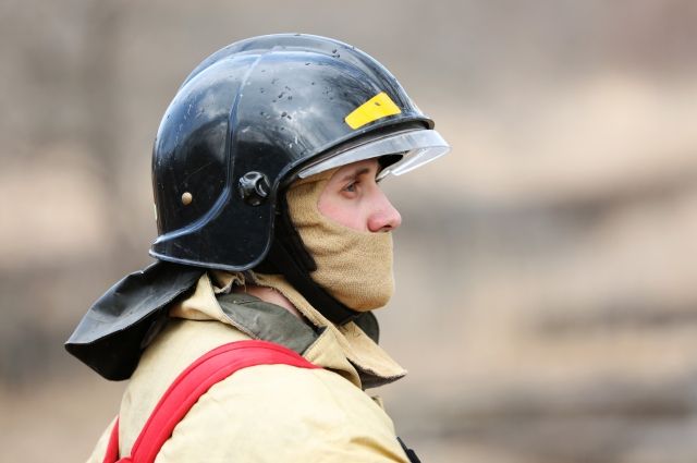 Самарских пожарных, отвоевавших у огня Бузулукский бор в августе, обманули, лишив положенных им наград и выплат.
