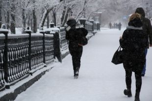 На севере Пермского края заморозки уже начались.