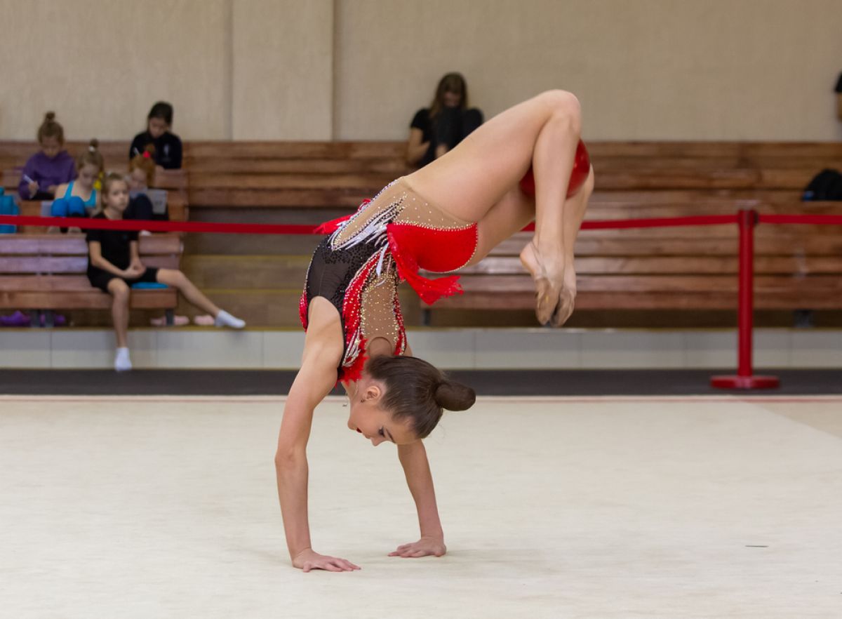 Центр художественной гимнастики в Белгороде откроют к декабрю 2023 года |  События | СПОРТ | АиФ Белгород