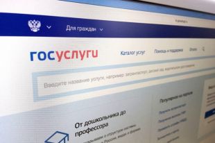 Со следующего года на портале госуслуг будут доступны более 100 региональных сервисов