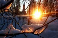 Прогноз погоды в Украине на 13 января: днем морозы немного ослабнут