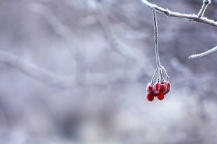 Днём ожидается от 8 до 13 градусов.