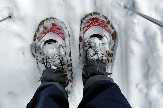 Соревнования по бегу на снегоступах пройдут в Иркутске