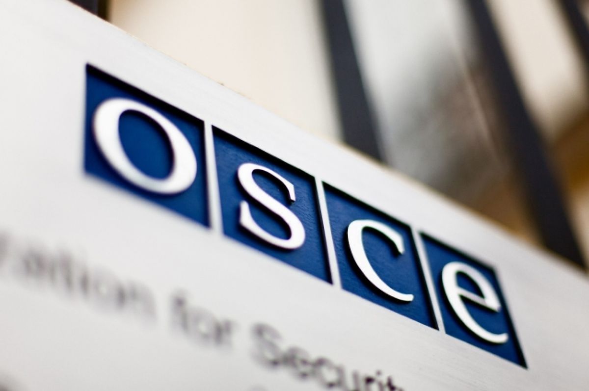 ОБСЕ собирается в Вене, чтобы обсудить действия России: подробности