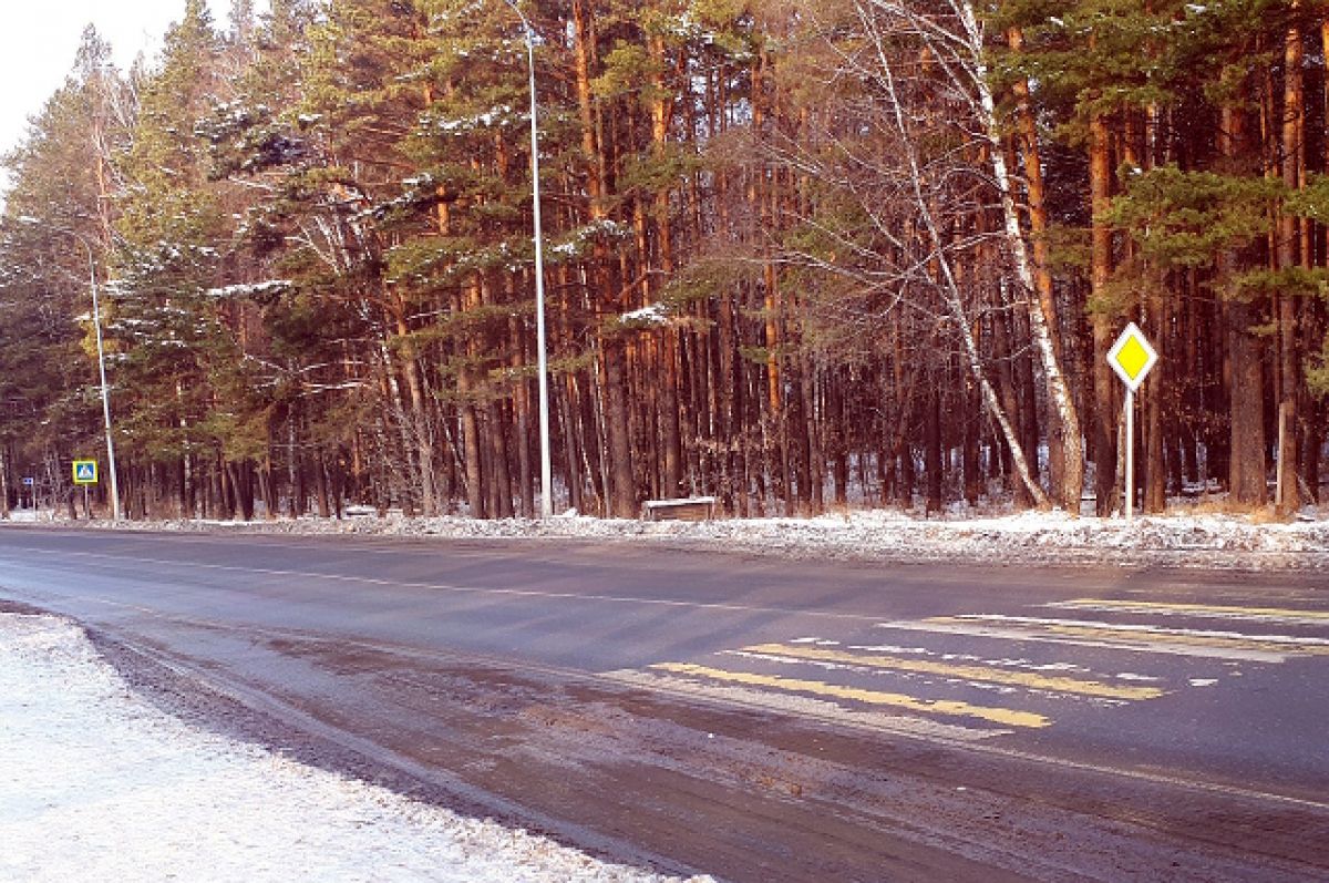 Дорога 17. Проект автодороги Тюмень Боровский. Дорога новый Уренгой Надым. Фото обочины дороги в городе. Строительство дороги Винзили в 90 годы.