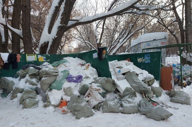 По словам жителей окрестных домов, гора мусора лежит с прошлого года.
