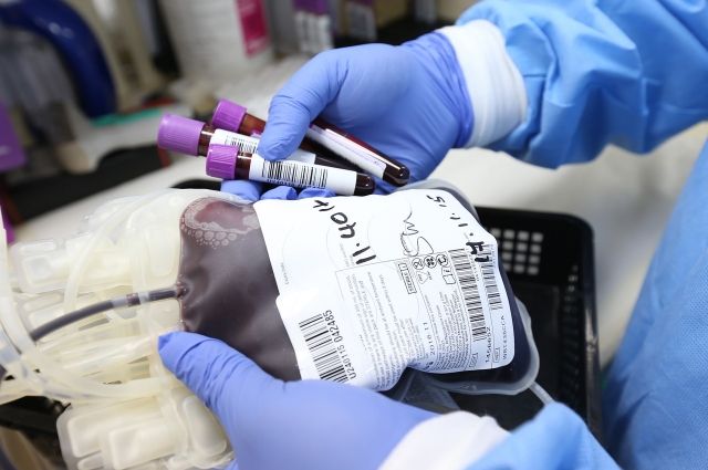 Доноров крови в Тульской области становится больше