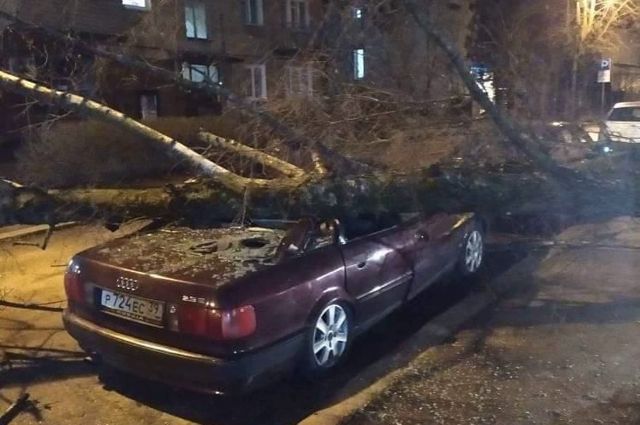 Первые жертвы урагана Эльза в Калининграде