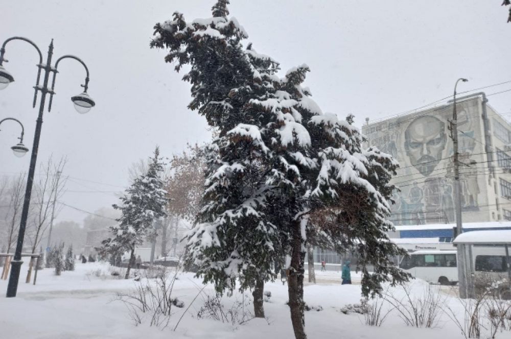 Зимняя красота окутала Саратов