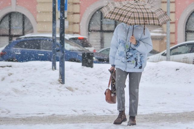 В Тульской области ожидается снегопад и гололедица