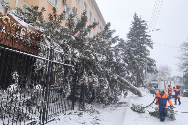 В День следкома на здание ведомства в Ставрополе из-за урагана упало дерево