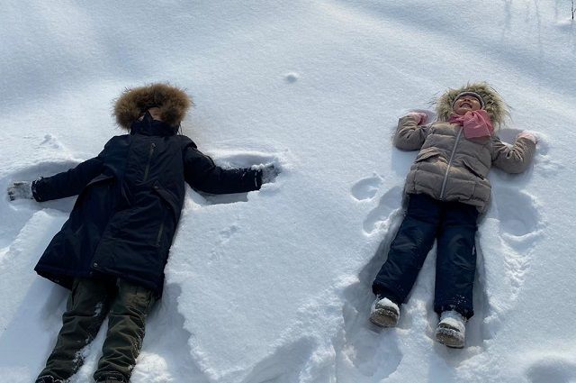 Метели, снежные заносы и снегопады могут вернуться в Ульяновскую область