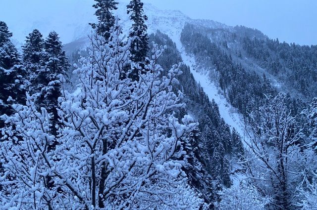 Не хуже Швейцарии. Андрей Барышев оценил российский горнолыжный курорт