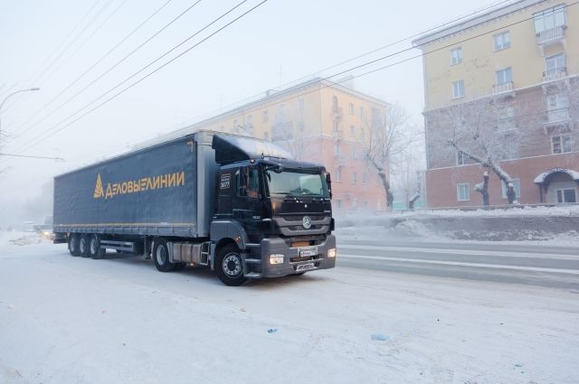 Омичей приглашают поучаствовать в благотворительной акции «Деловых Линий»