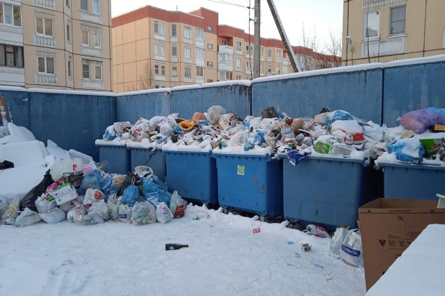 Власти Петербурга назвали причины мусорного коллапса