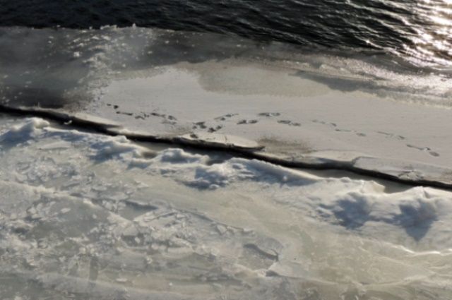 Льдина с 20 рыбаками оторвалась в затоне на территории Городецкого района