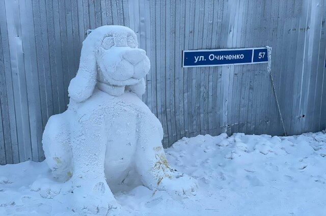 Пункт передержки животных Якутска на Очиченко 57 | ОБЩЕСТВО | АиФ Якутия