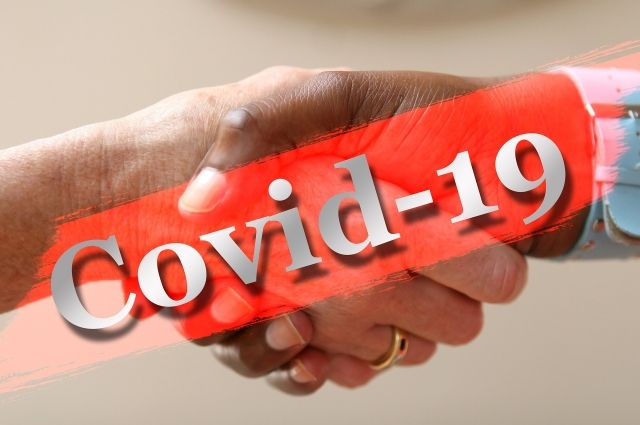 97 случаев COVID-19 выявили в Пензе, 8 - в Заречном, 68 - в районах области