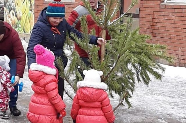 «Кроношпан» в Башкирии проводит акцию «Ёлки в щепки» | ОБЩЕСТВО