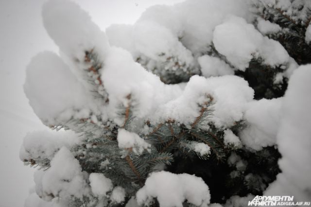 В Адыгее объявили экстренное предупреждение из-за сильного снегопада