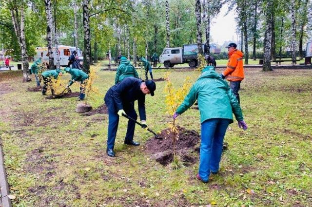  По общему плану мероприятий пермского «Уралхима» и администрации района продолжилась высадка деревьев в саду В.Л. Миндовского.  