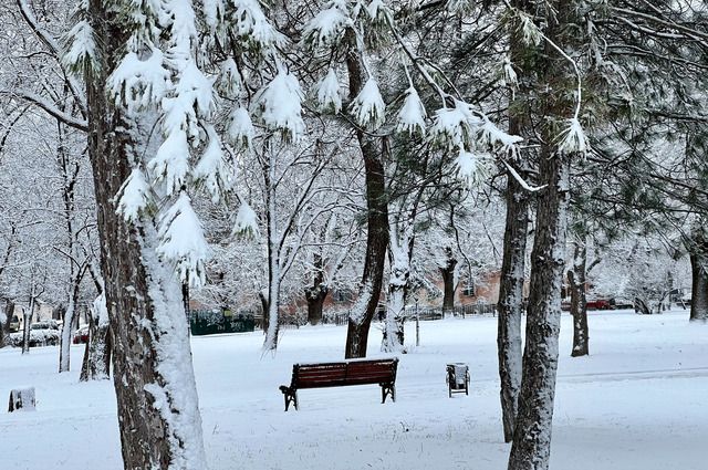 Снег и местами дождь обещают синоптики 21 января жителям Псковской области