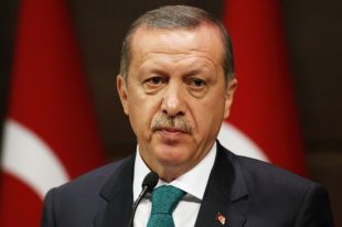 Президент Турции посетит Украину в начале февраля: детали