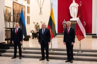 Эстония, Латвия и Литва подтвердили поставку оружия Украине
