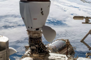 SpaceX отложила отстыковку корабля Cargo Dragon от МКС.