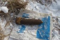 Житель Озерного нашел артиллерийский снаряд и попытался продать его односельчанину. 
