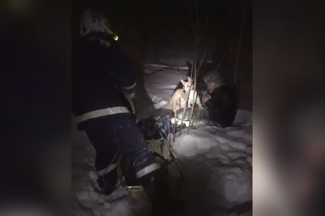 В Новосибирске спасли мужчину, который чуть не замерз с собакой в лесу
