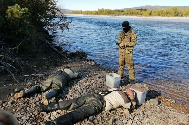 На севере Хабаровского края браконьеры добыли почти 100 кг икры