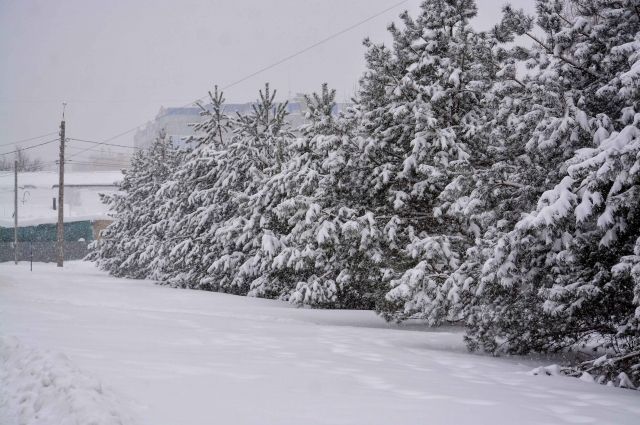 Жителей Крымского района предупредили о возможном подтоплении после снега