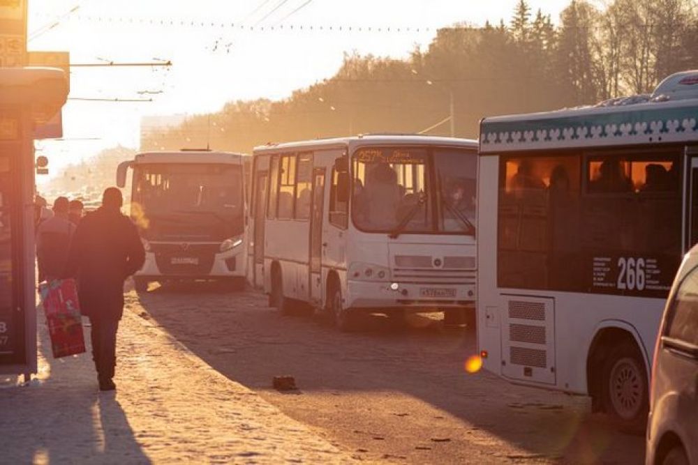 Более или менее в достаточном количестве их можно увидеть только в час пик.