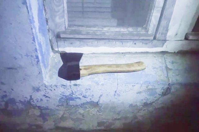 Житель Пензенской области забил топором сожителя матери